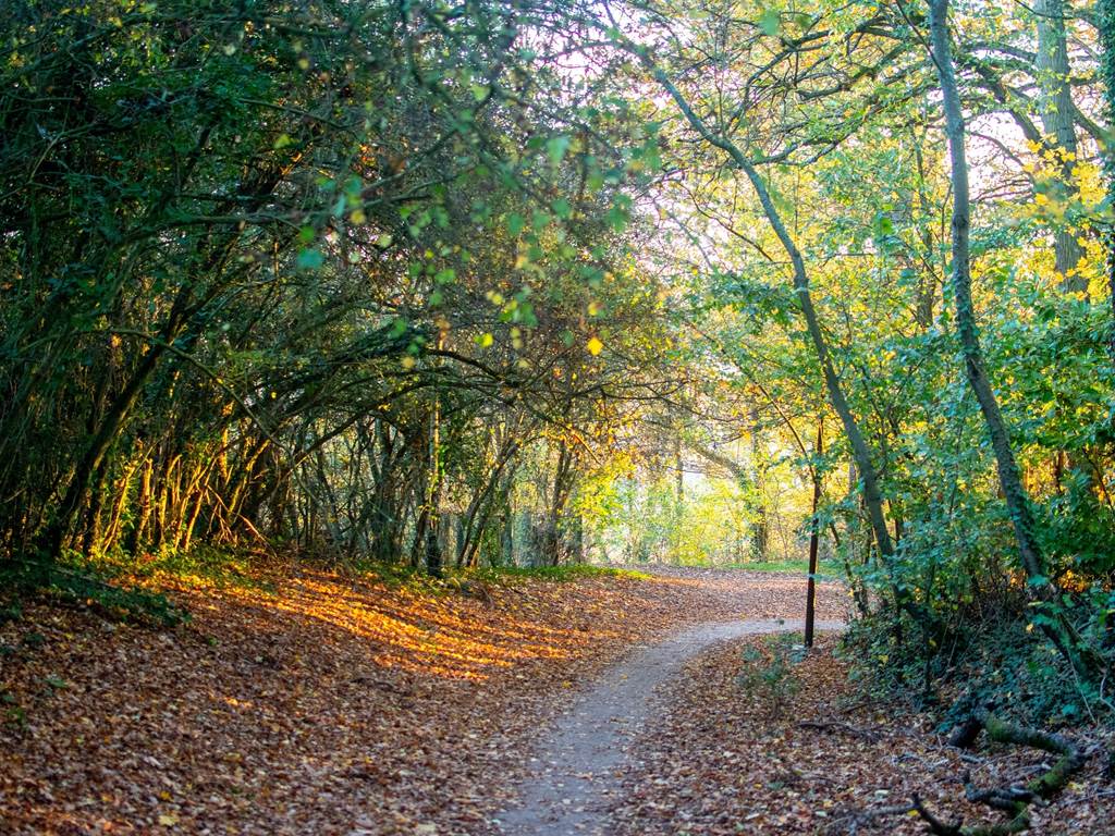 Sejour-dans-le-Parc-naturel-regional-de-la-Haute-Vallee-de-Chevreuse