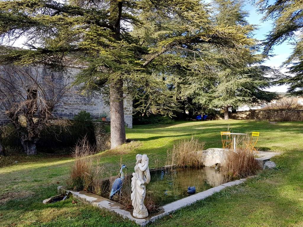 Le bassin et ses carpes