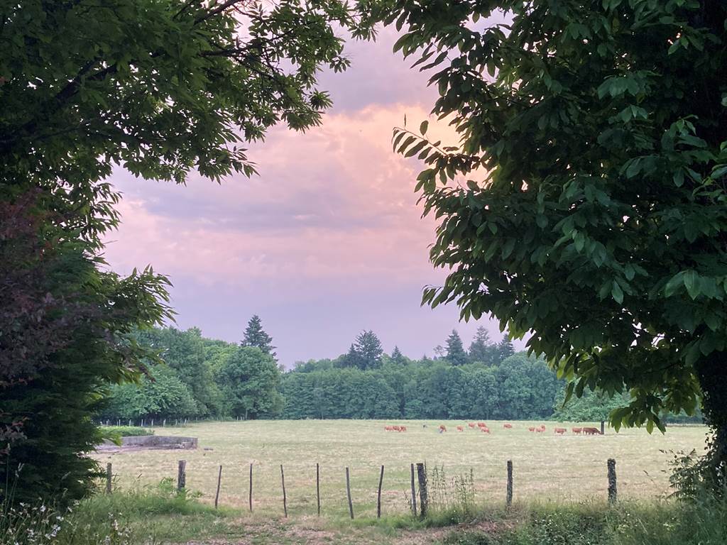 A view over the fields