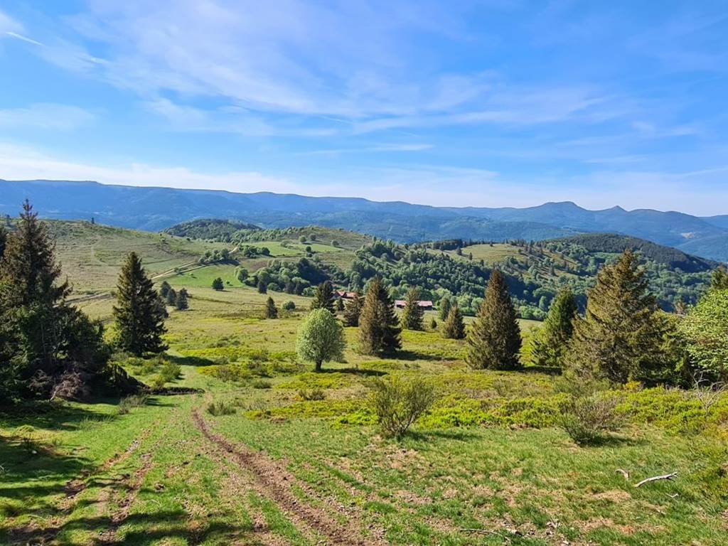 Gite-de-groupe-alsace-vosges-vue-sur-vallée-de-la-bruche