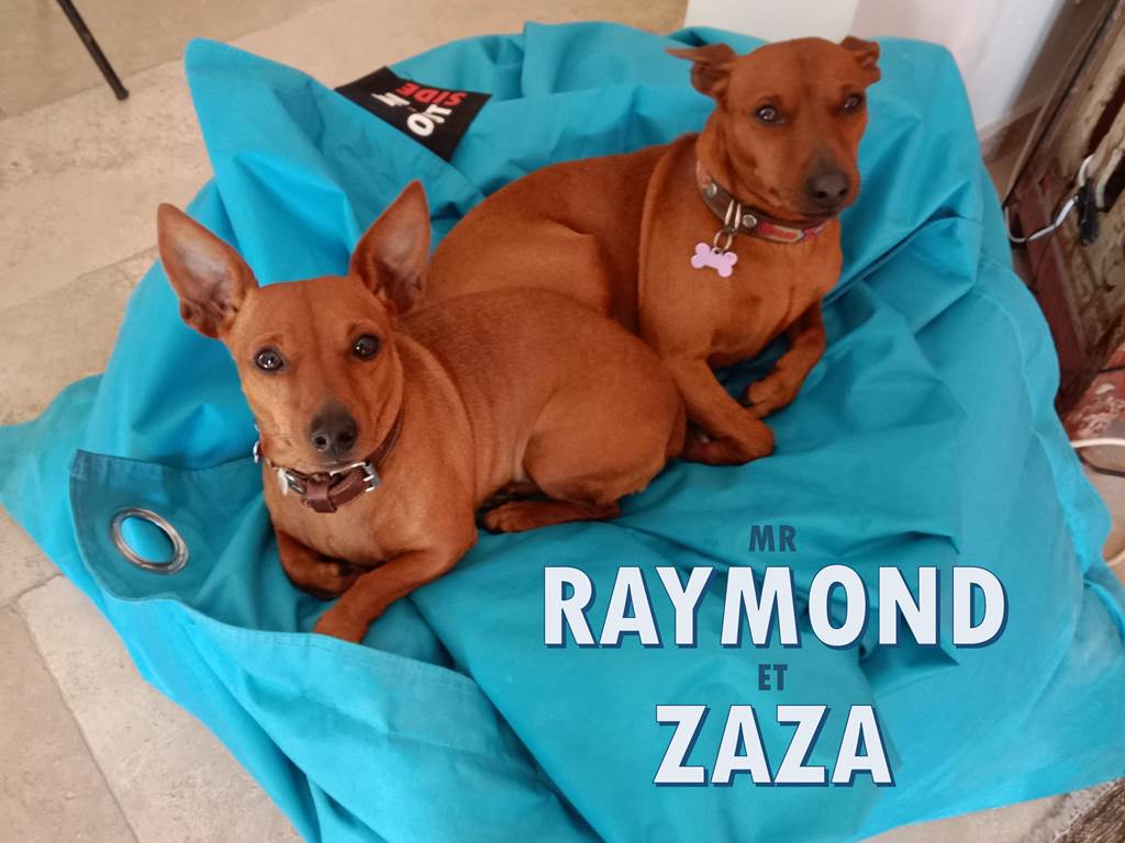 RAYMOND ET ZAZA