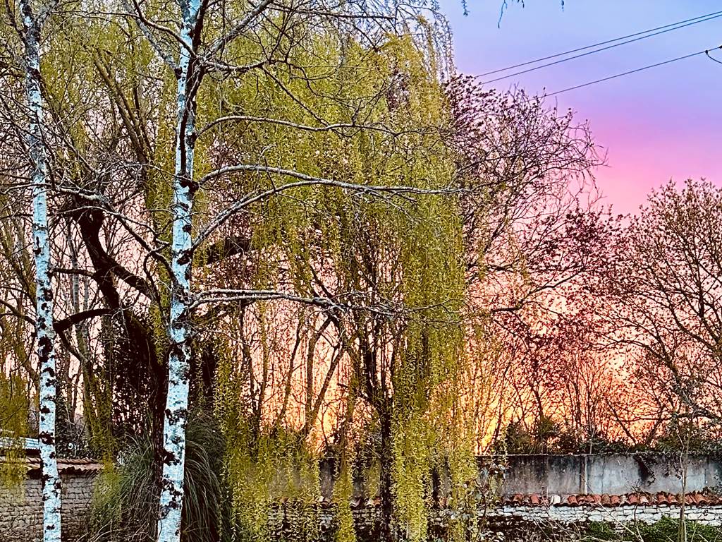 Jardin coucher de soleil_La Cavalerie