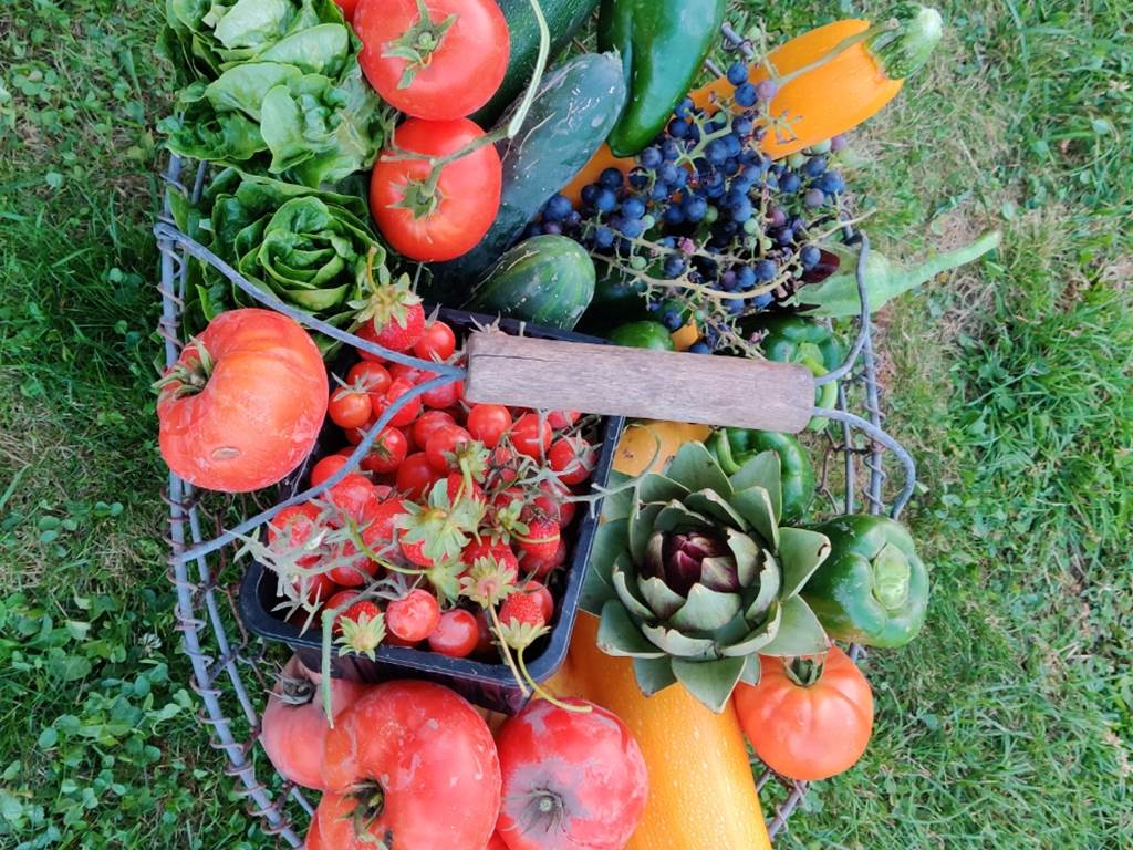 joli panier de légumes