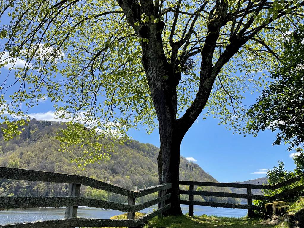 gite_correze_pierres_barragedebort-nature