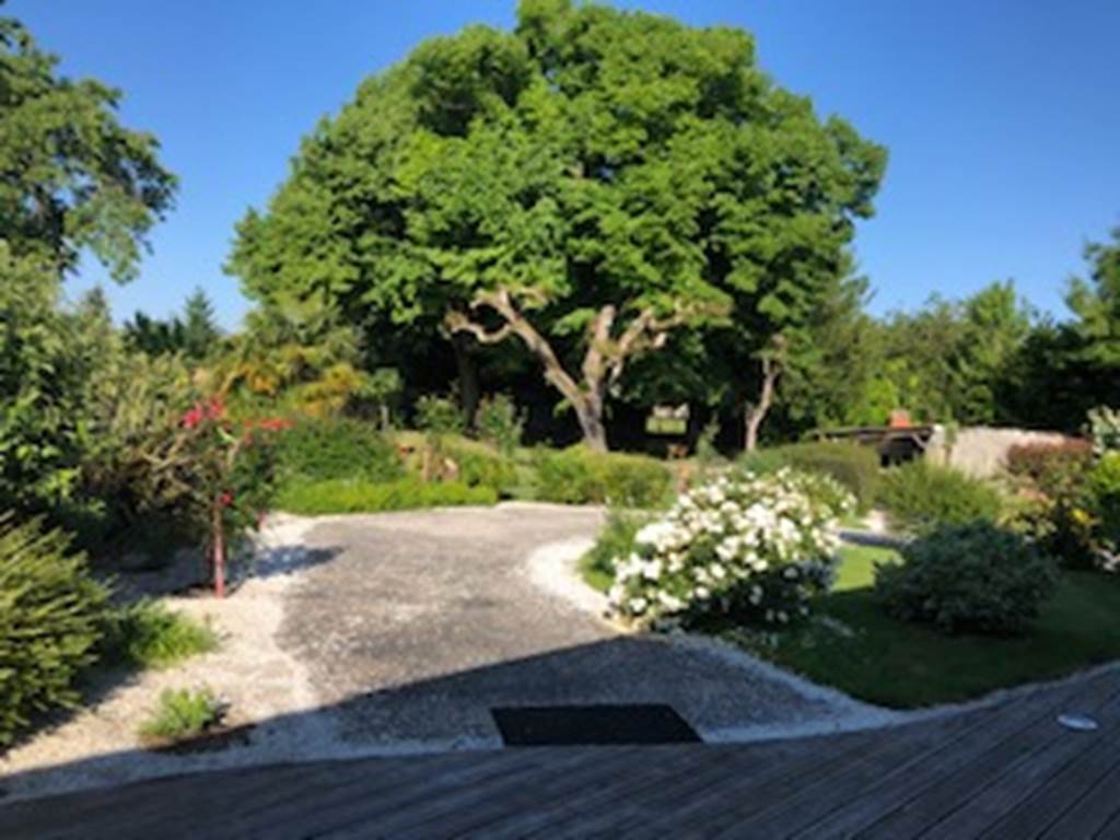 vue sur les tilleuls centenaire