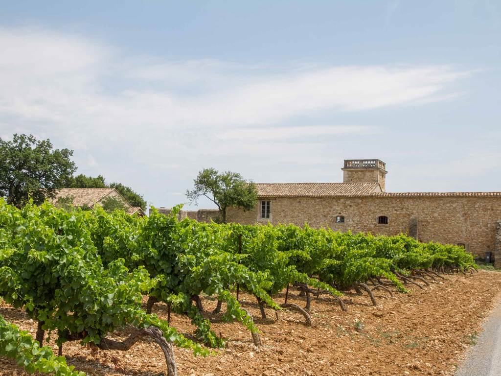 Terrasse aménagée au calme avec vue sur les vignobles du Languedoc