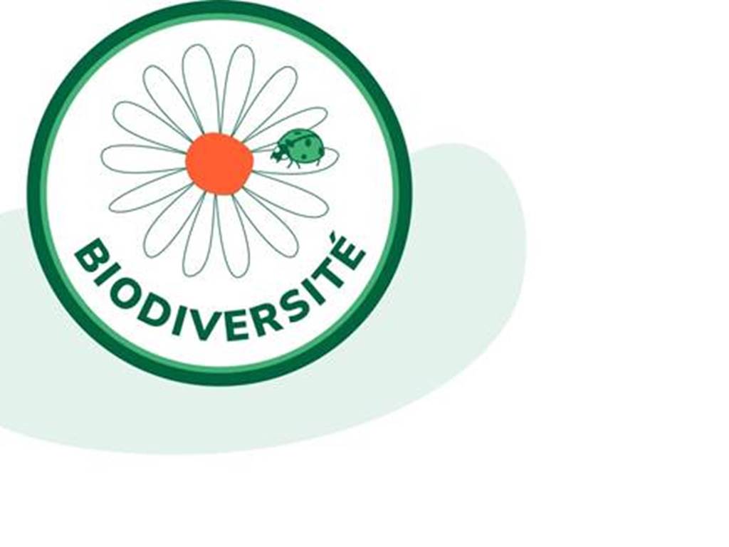 biodiversité-domaine-bio-Alpilles