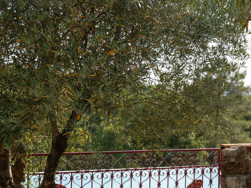 Les_sources_gite_de_charme_Objat_correze_piscine_x_Nastasia_Papiez-358