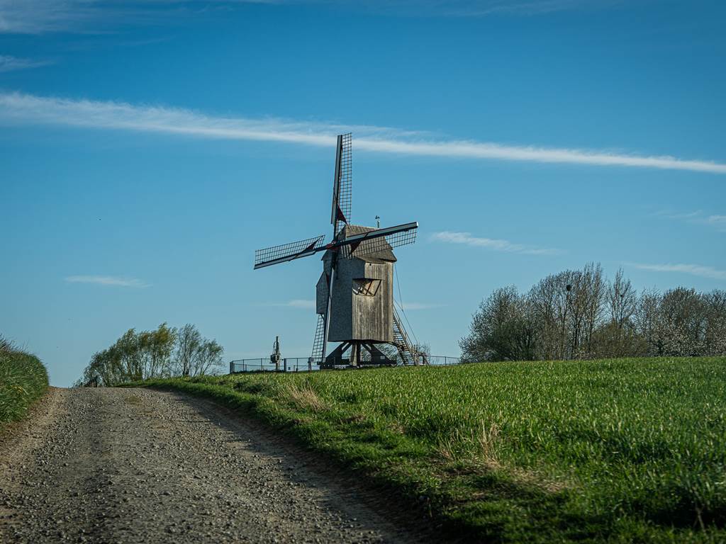 DSC04324