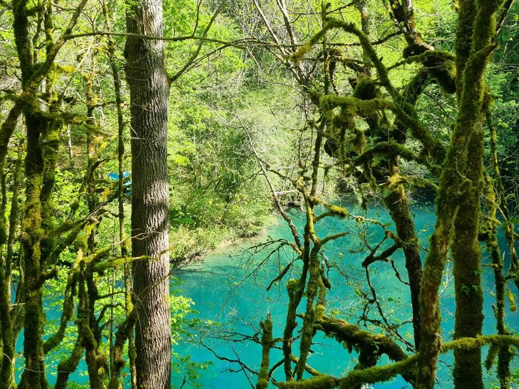 Gîte Ainerak, Pays Basque, Pyrénées, Soule, Kakouetta, La Verna, Sainte Engrâce, la Pierre St Martin