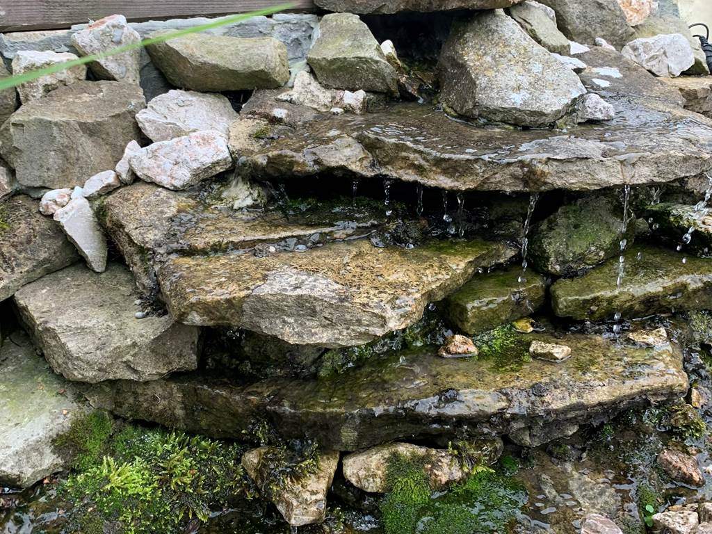 Le plan d’eau du jardin invite à la détente au cœur de notre gîte en pleine nature dans le Pas-de-Calais.
