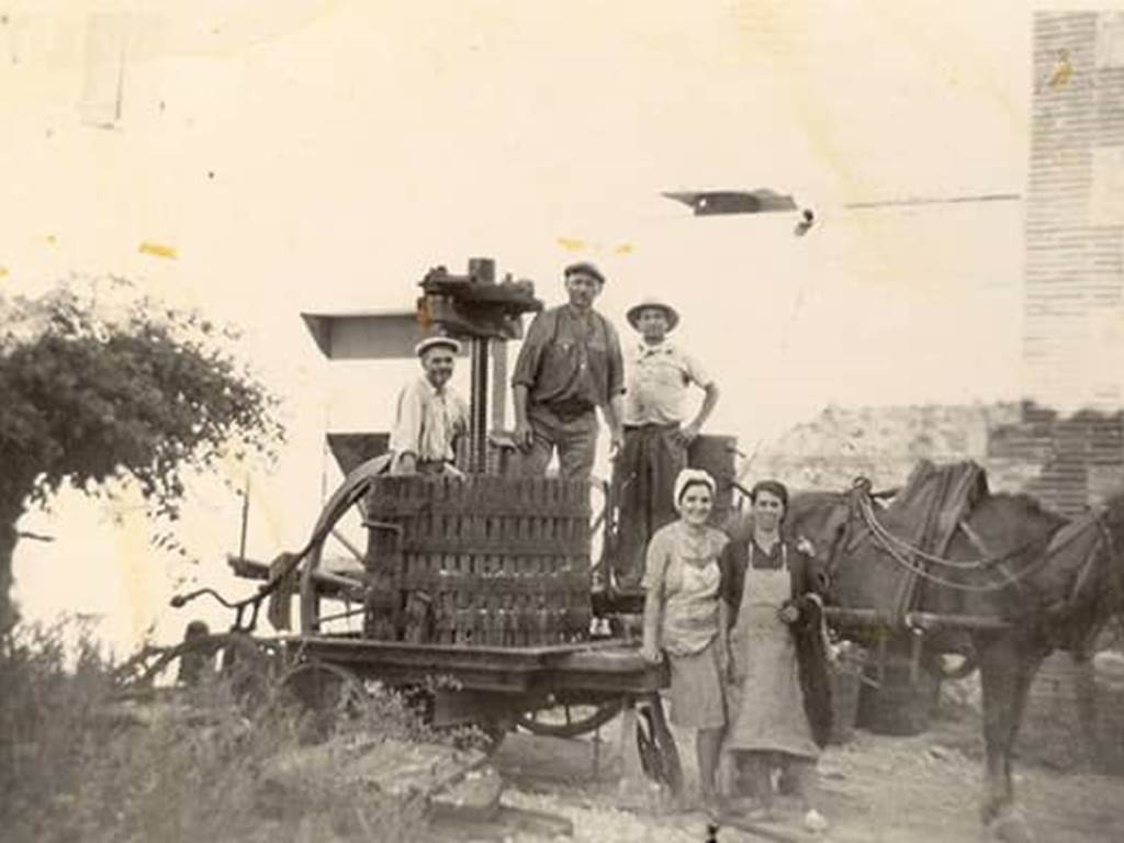 vin-pays-doc-argeles-sur-mer (1)