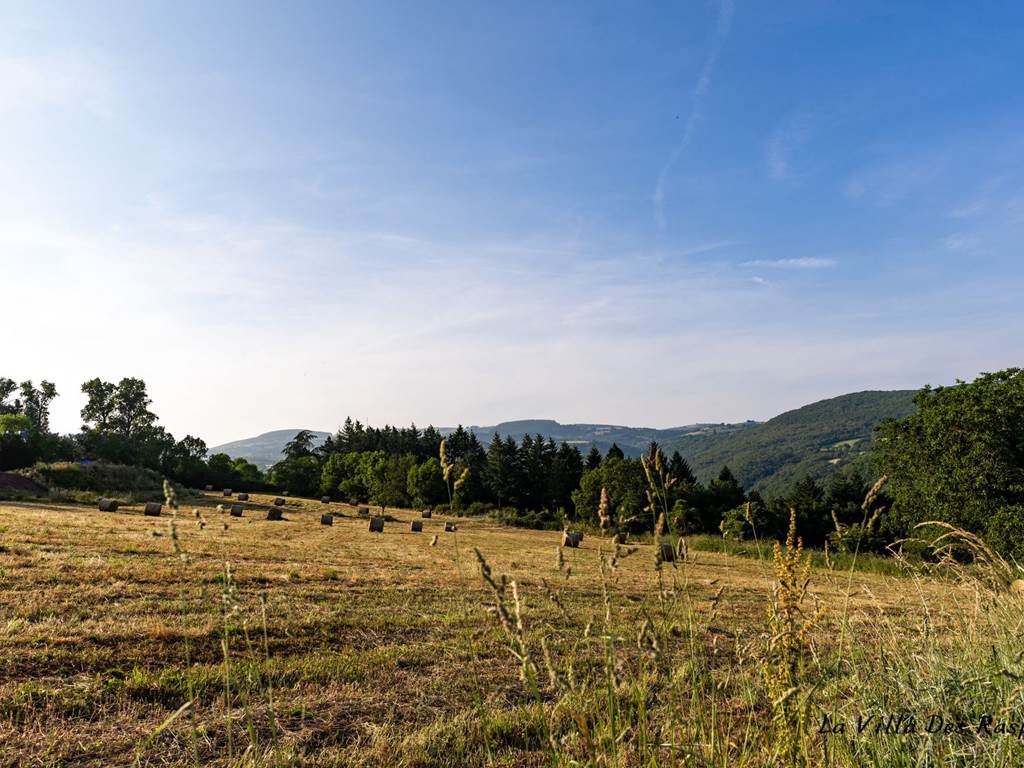 Ambiance champètre