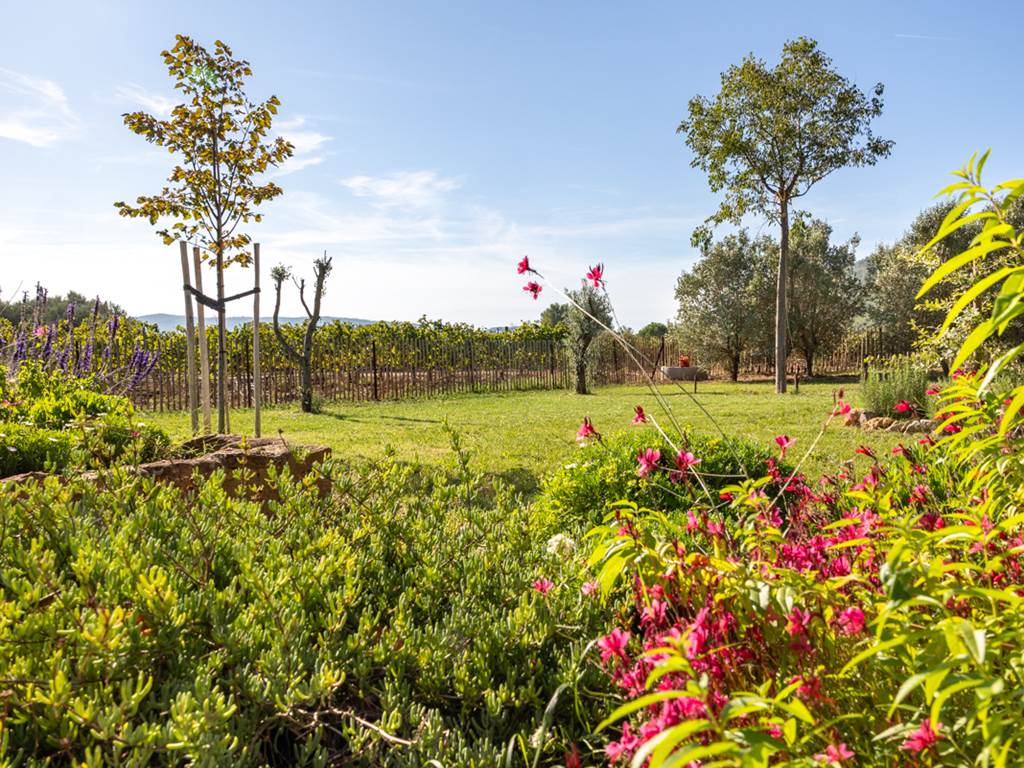 Domaine des Perirecedes BD-0139