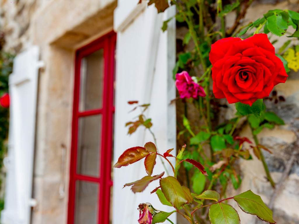 Gîte n°19G5472 "Aumont & Merveilles" – ARGENTAT SUR DORDOGNE