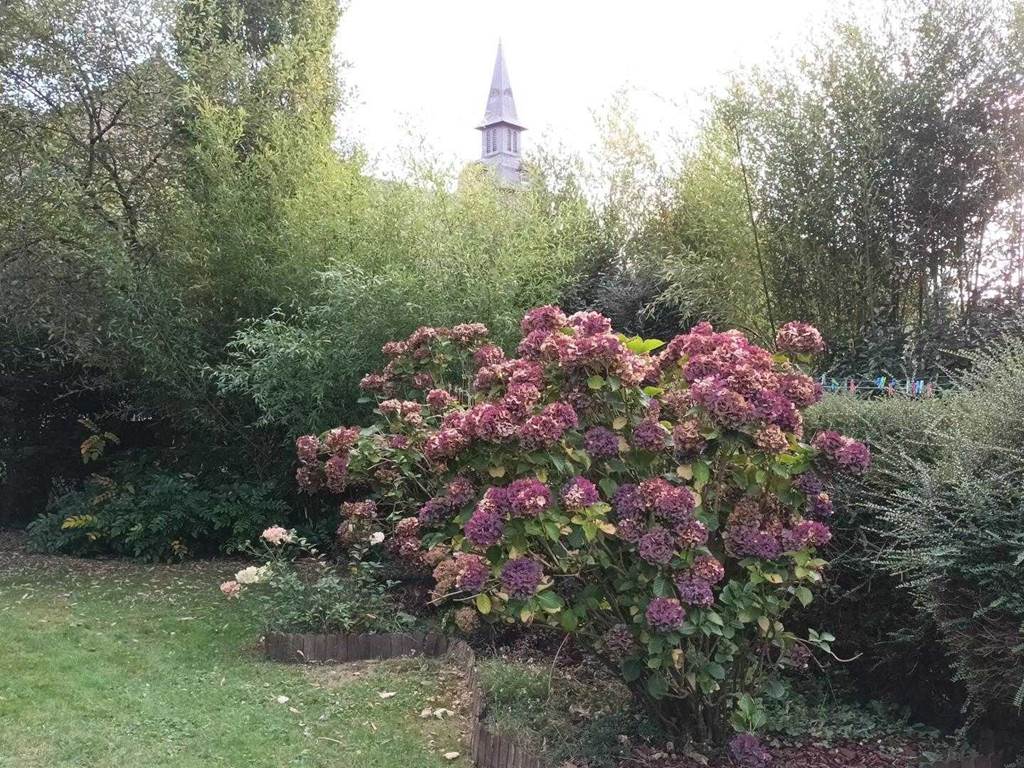 Chambre d'hôtes n°22G320896 "Le Clos des Hortensias" – PLEMY