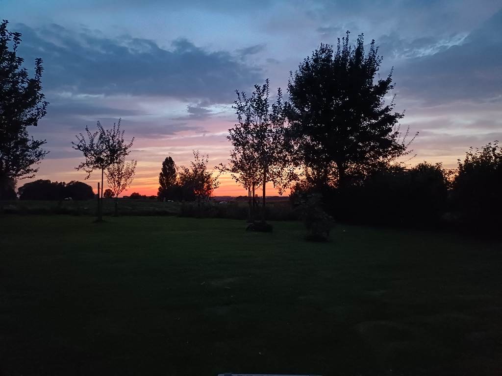 jardin vu du balcon le soir - coucher de soleil