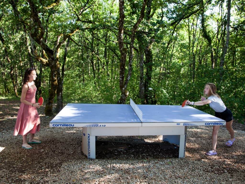 Partie de ping pong endiablée