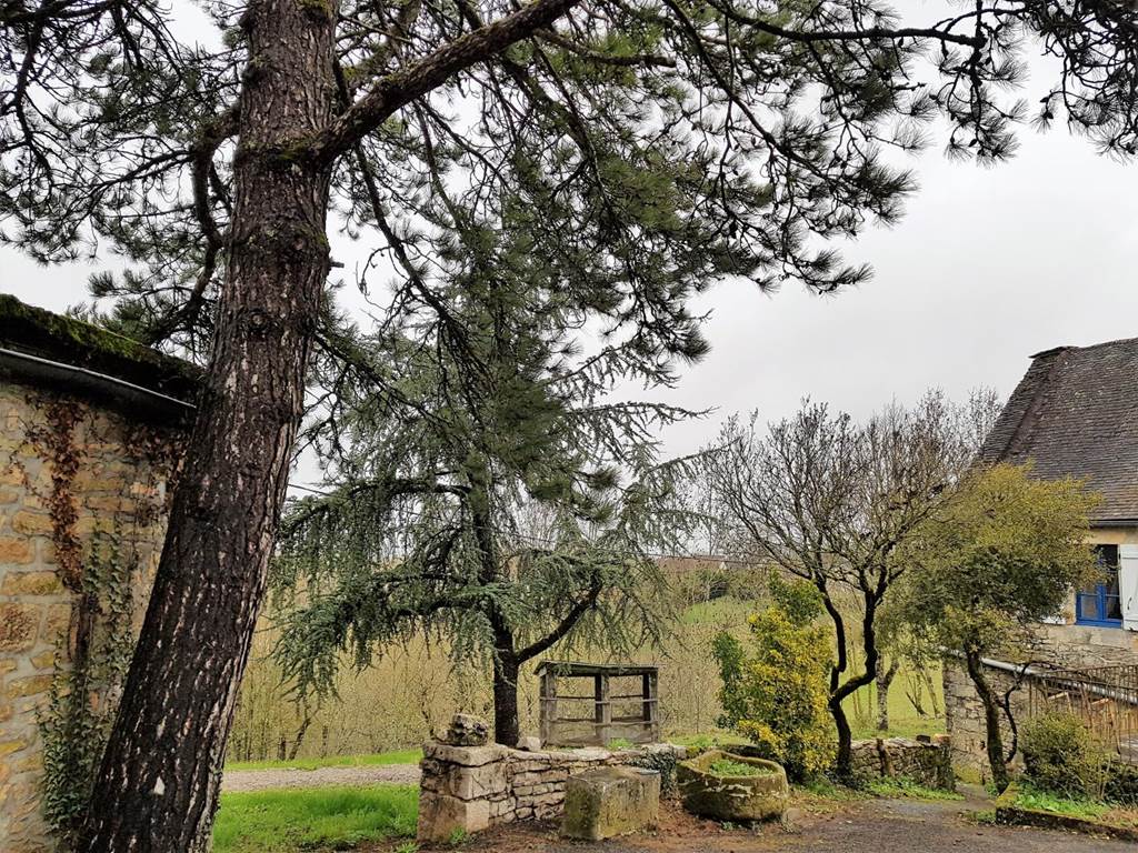 Gîte n°19G2050 – CHASTEAUX