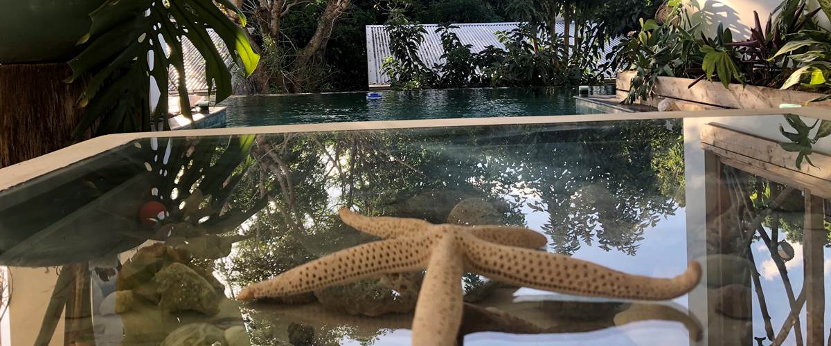 Piscine 2 Jardin de Ravintsara