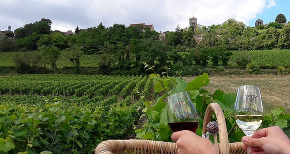 vignoble Vézelay