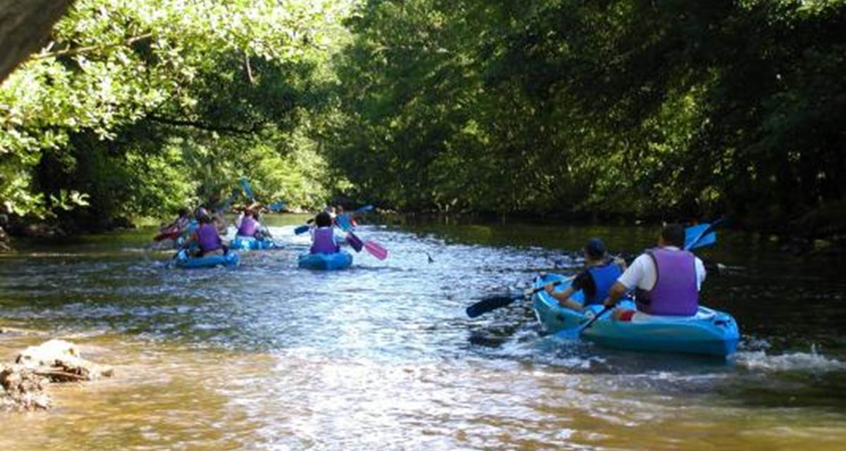 kayak