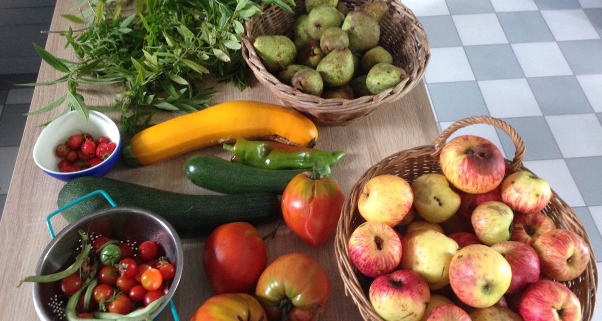 fruits et legumes du jardin