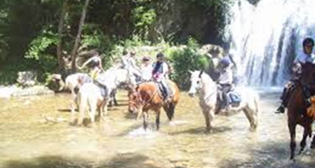 cheval