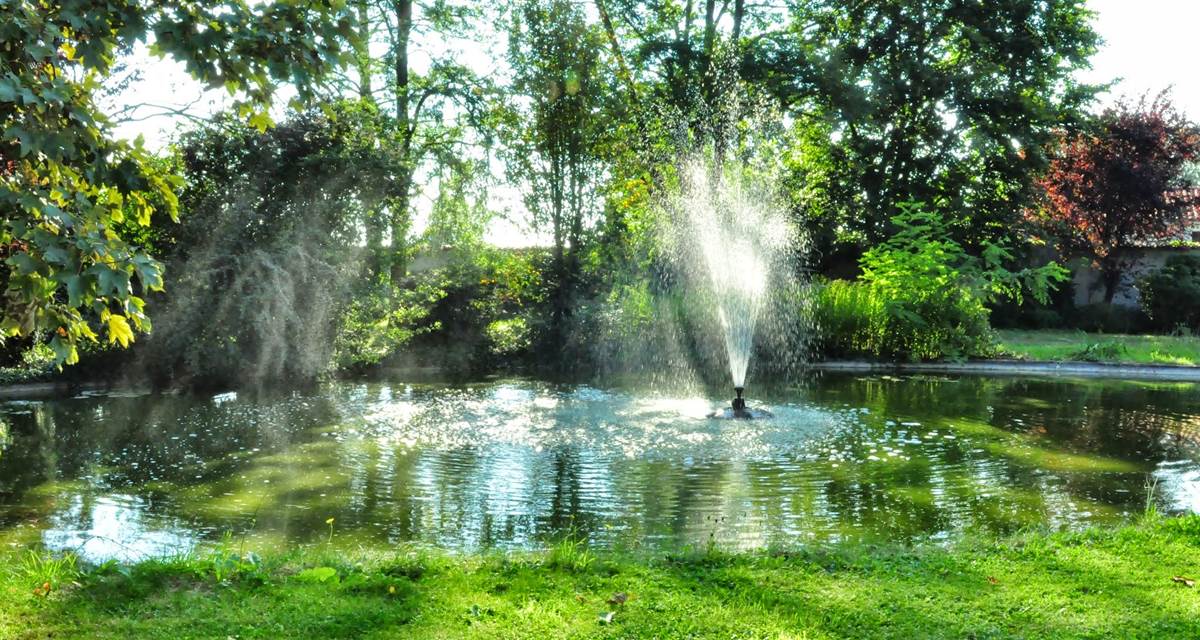 Bassin et jets deau