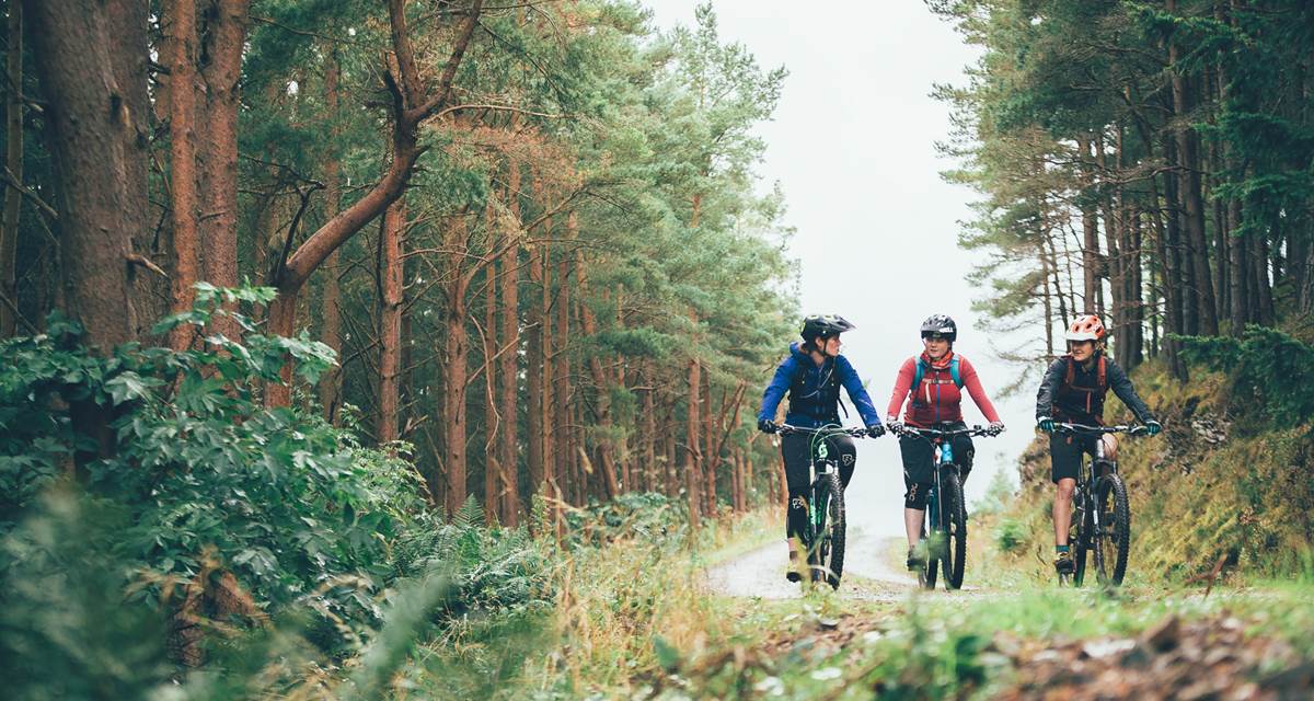 Reconnecting-With-An-Ebike-13
