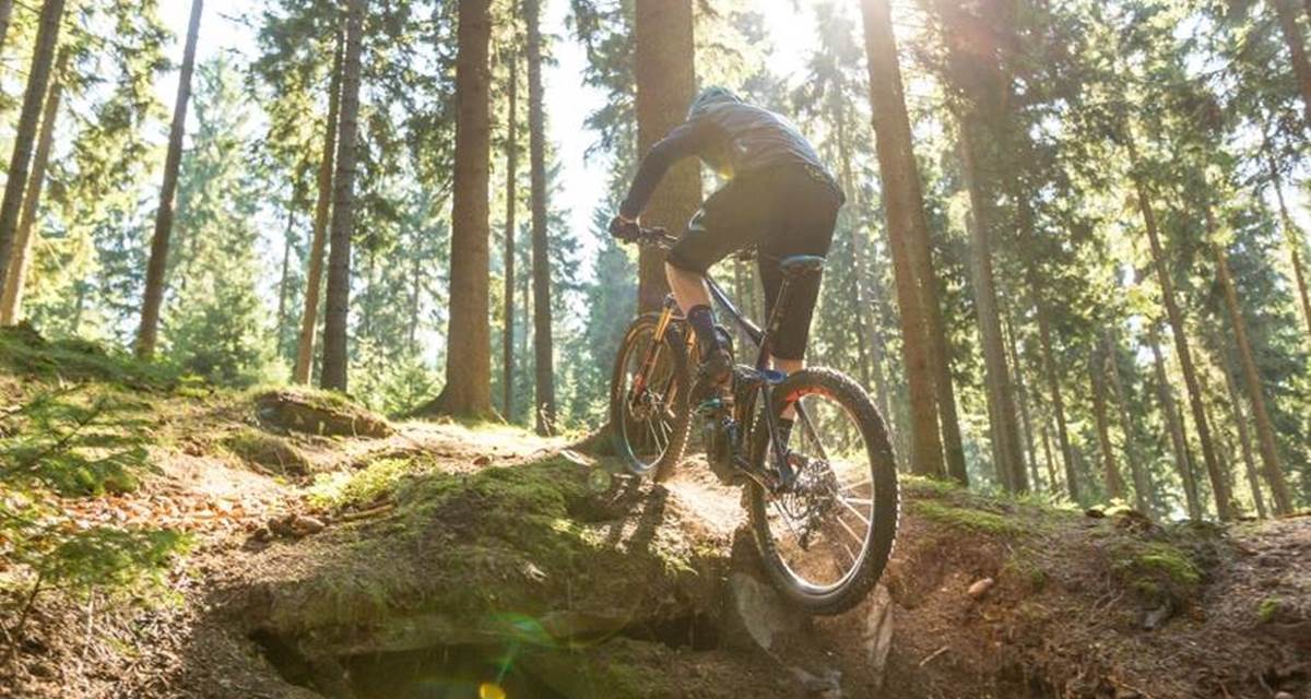 bosch-ebike