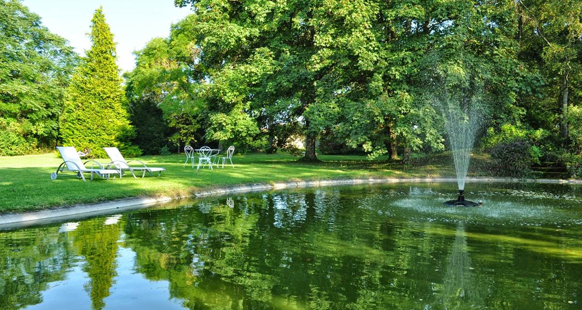 Bassin et transats