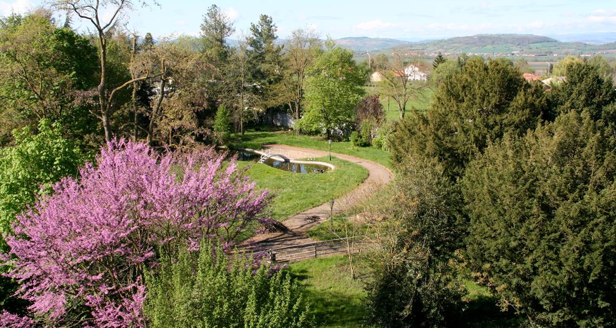 Parc aux arbres séculaires et bassin d'agrément