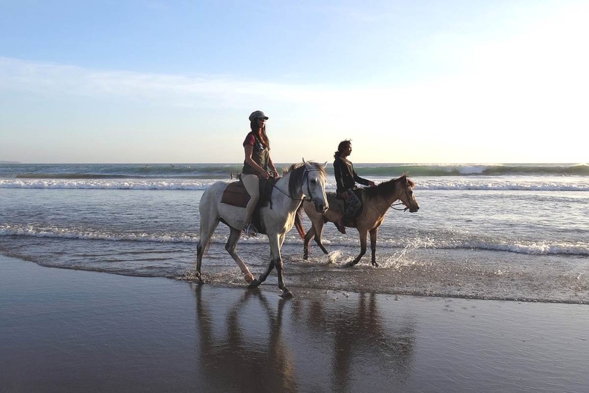 Une ballade à cheval sur la plage