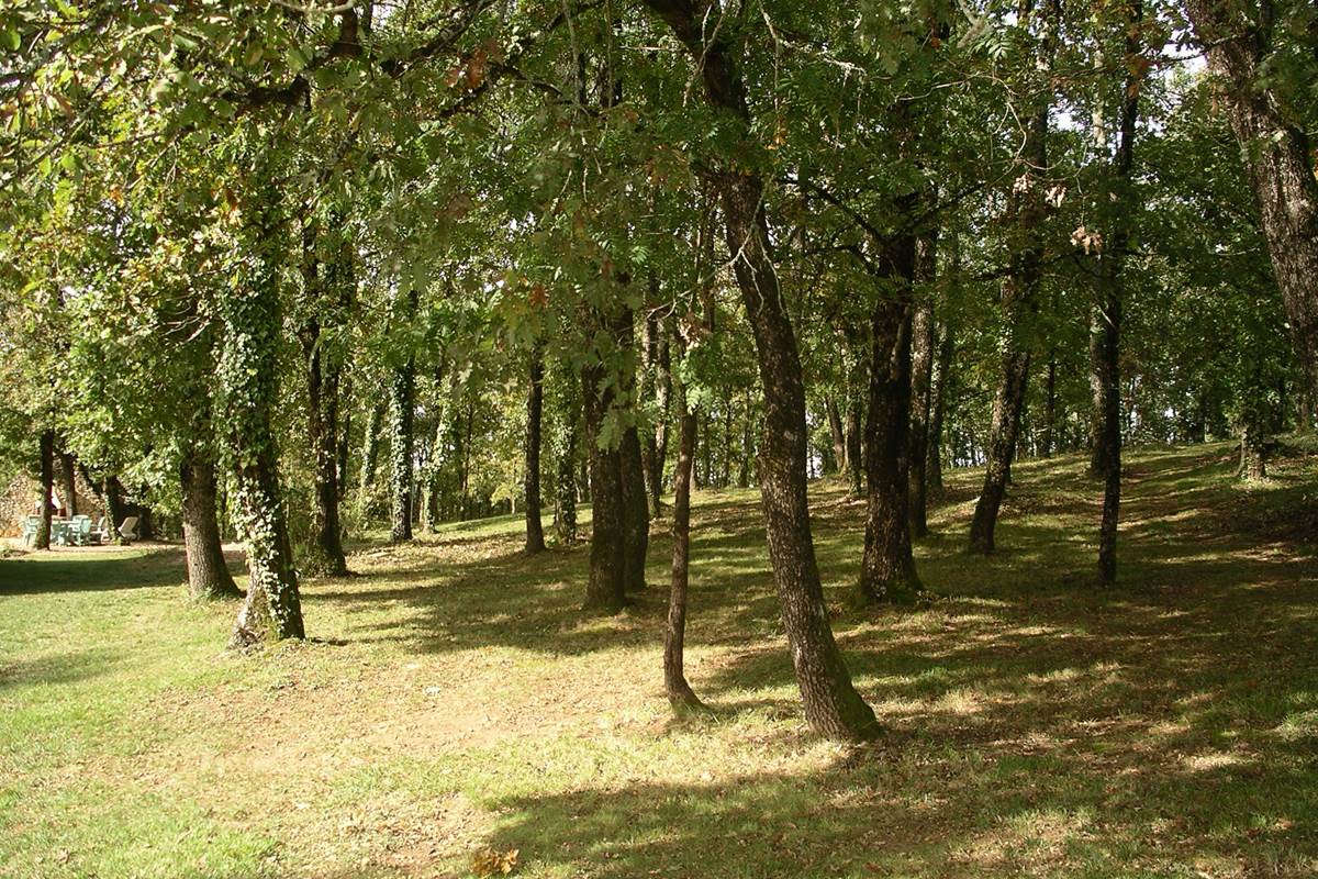 bois-chambres-d'hotes-dordogne-feuillantines