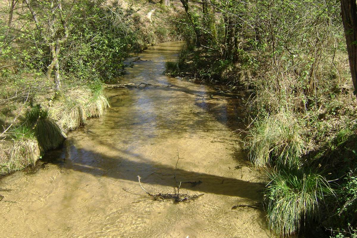 Randonnée les pieds dans l'eau