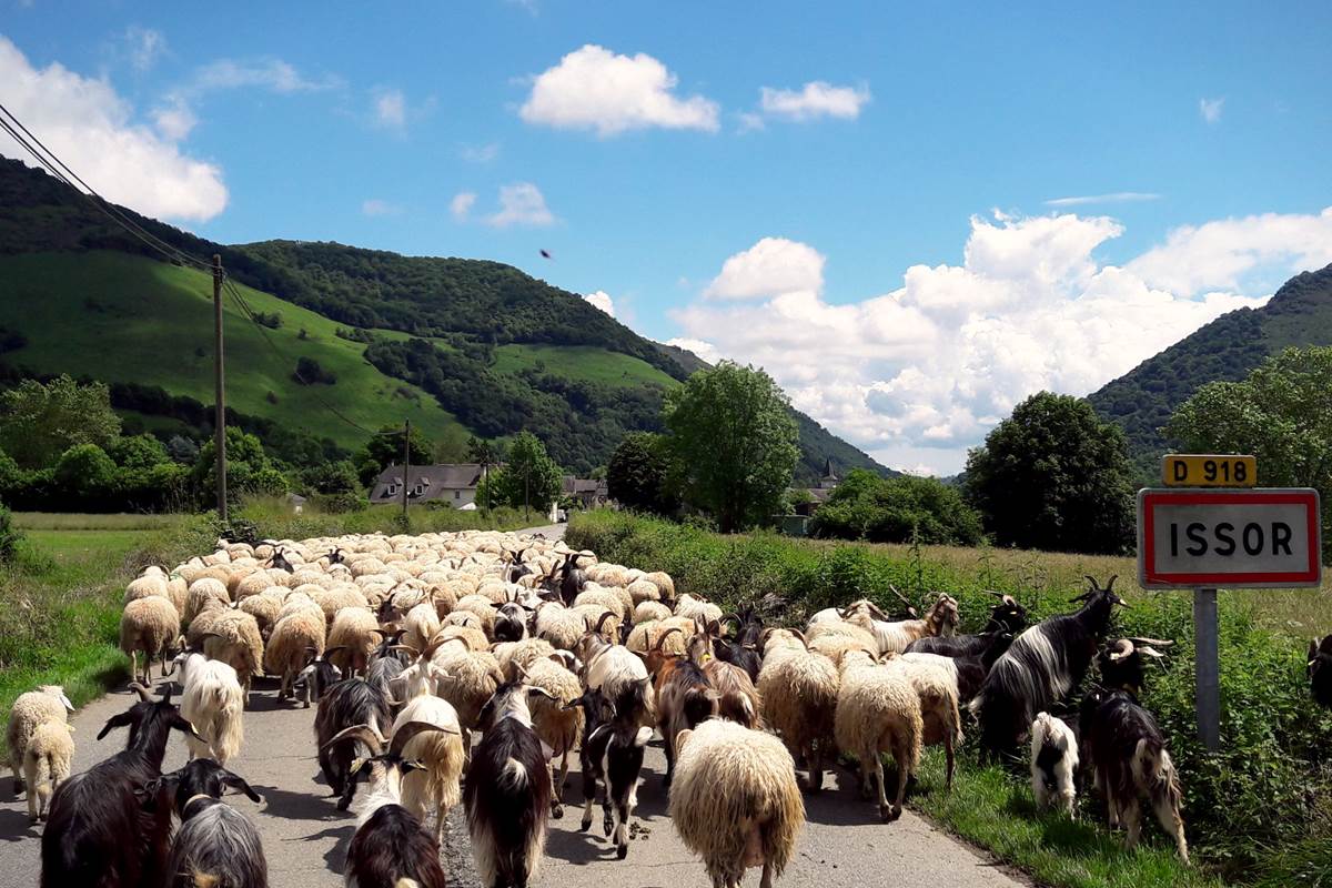 Haut-Béarn-berceau-de-l'Ossau-Iraty