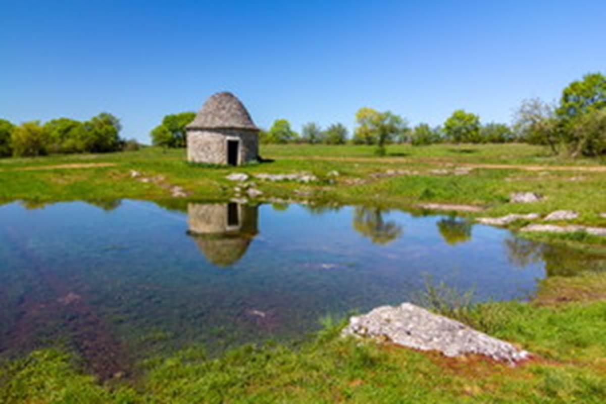 Cazelle paysage des Causses