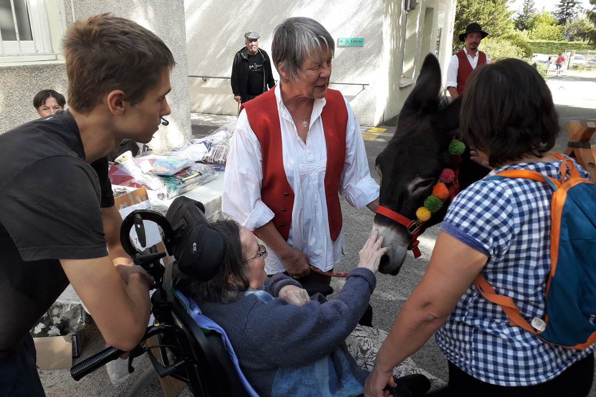 asinerie-badjane-mediation-grace-aux-anes-contact-avec-les-personnes-en-fauteuils-roulants