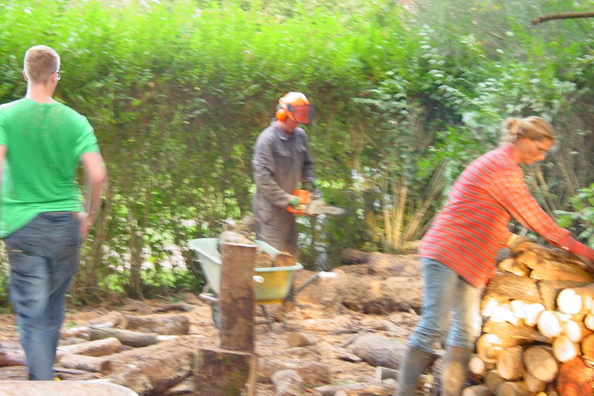 bois de chauffage