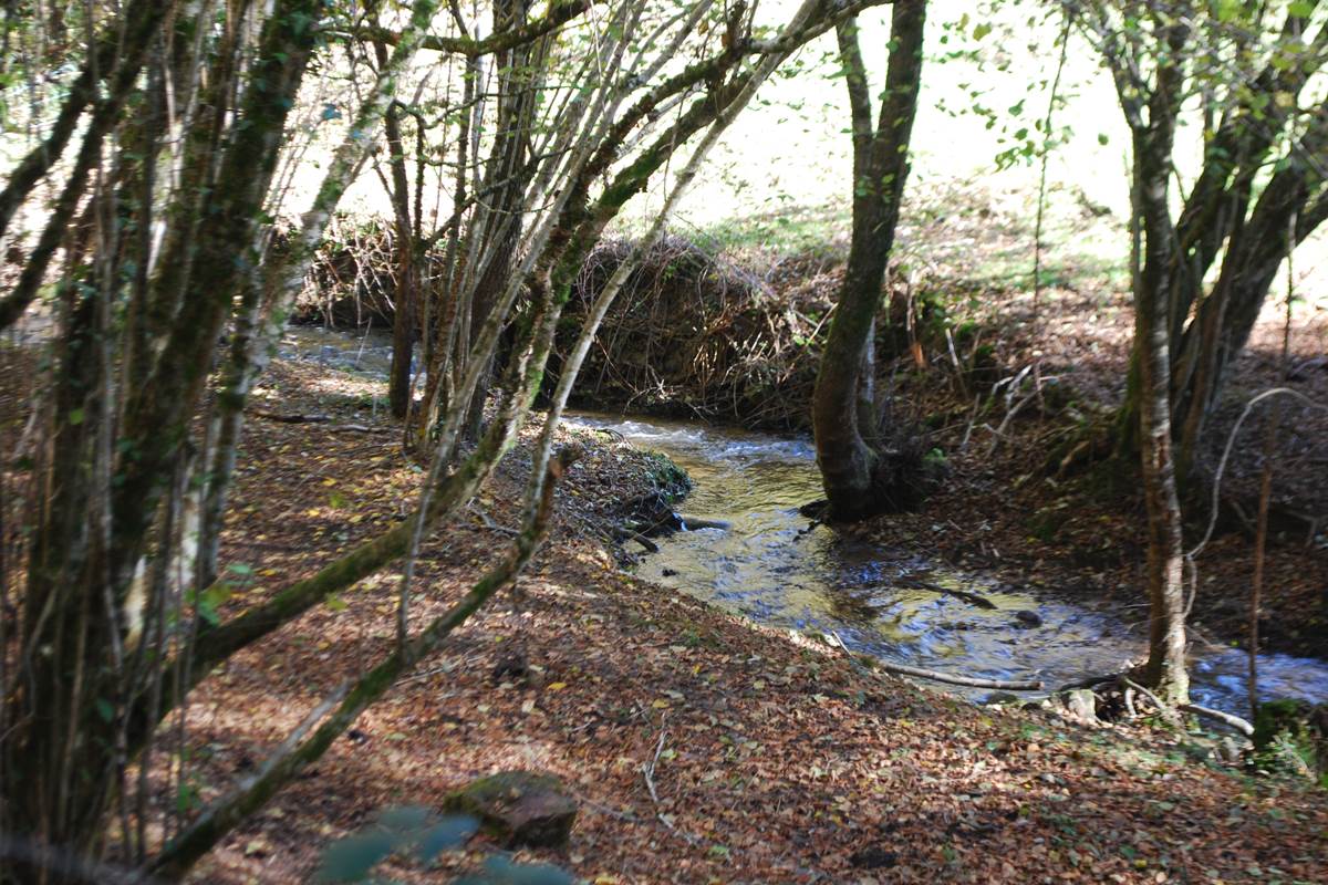 le ruisseaux des fantaisies à 15' à pied du Ranch des Lacs Hotel 87120