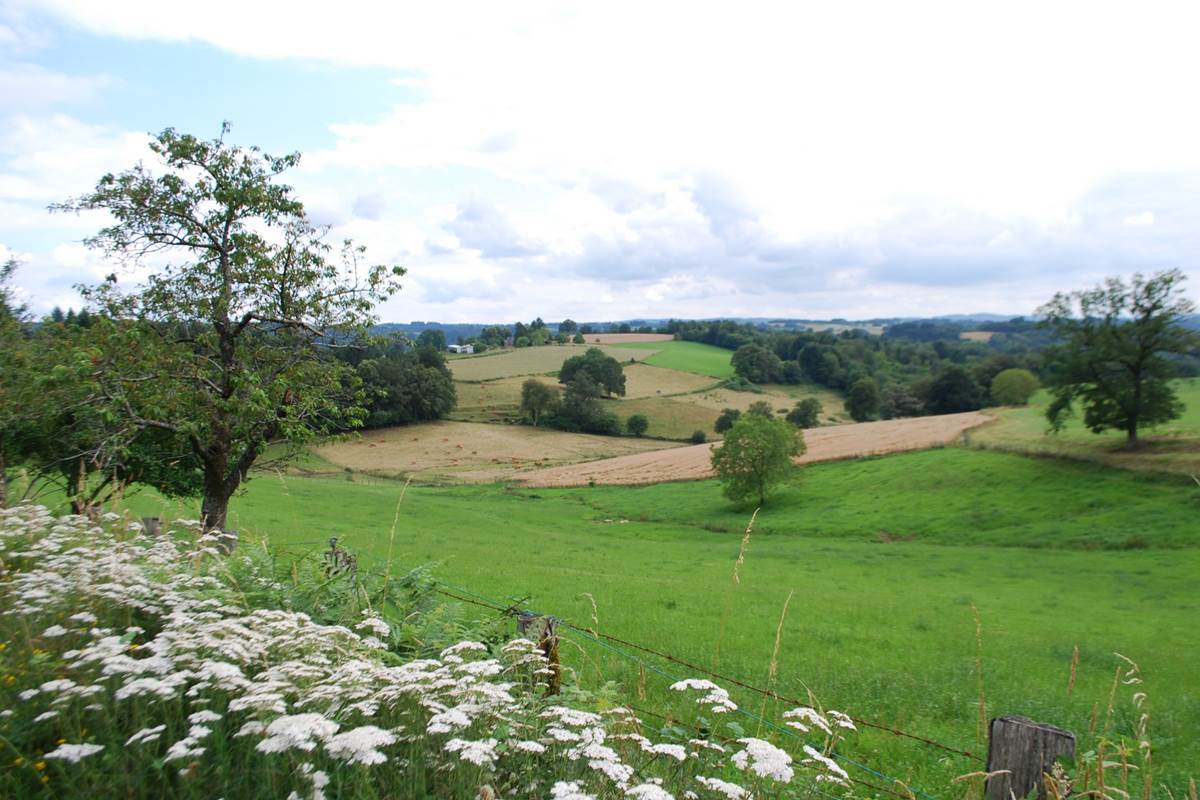 paysages prés bosquets bois la D14 entre Eymoutiers et Bujaleuf