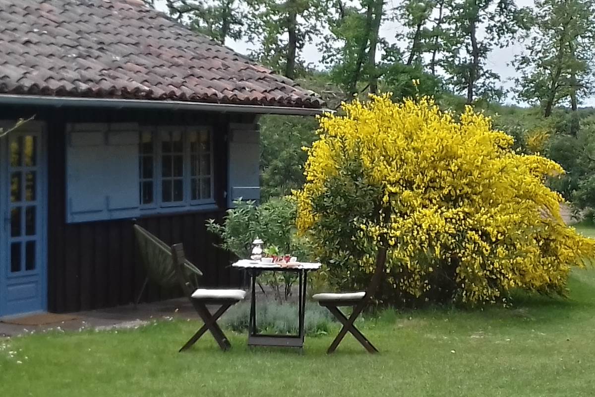 L'Atelier maisonnette de 40m² en bois sur l'airial