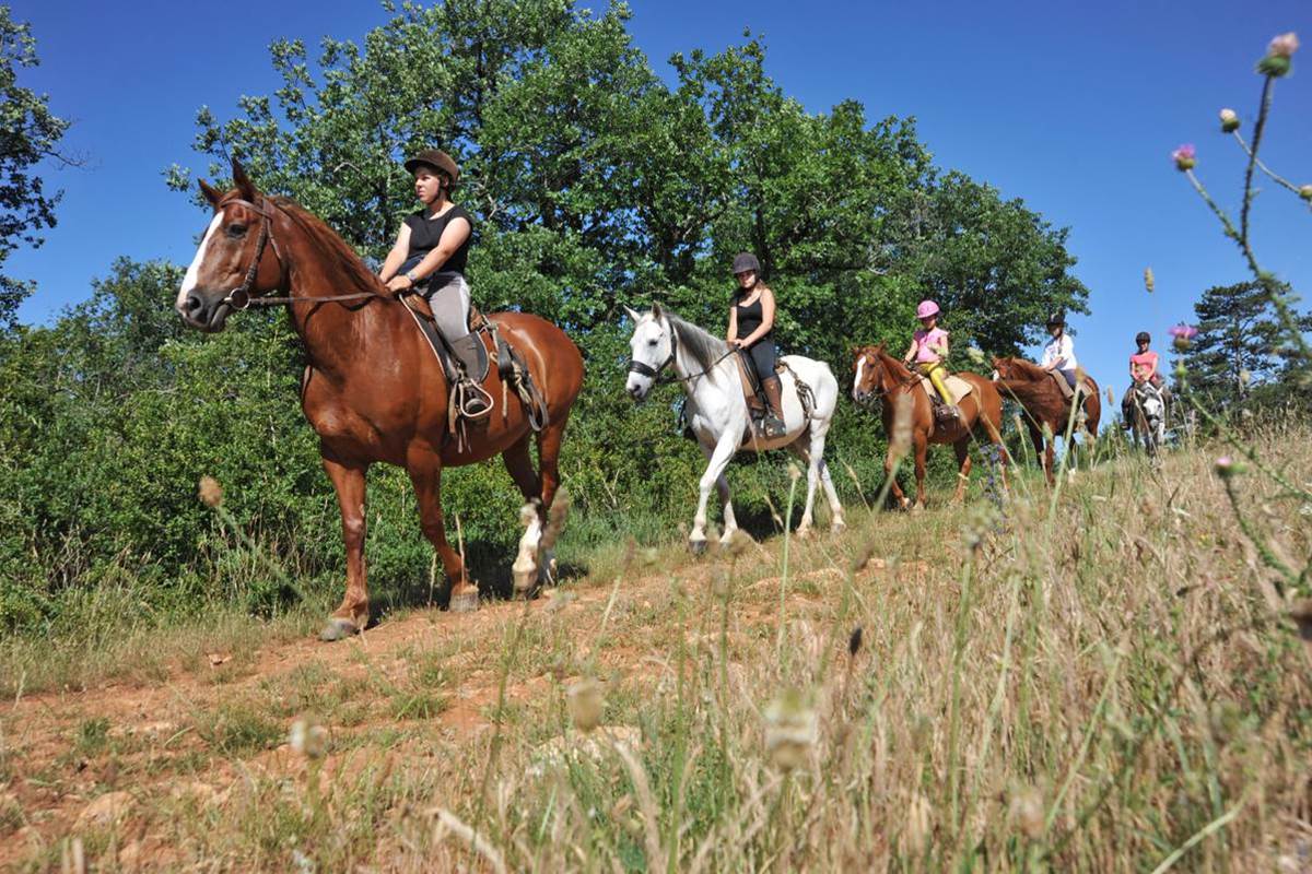 balades-a-cheval-dans-les-causses