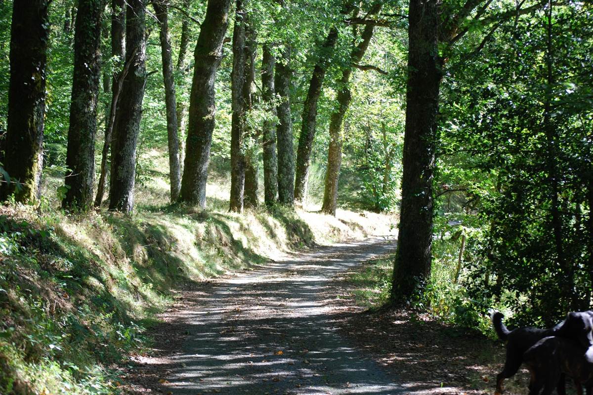 partons en balade sur le chemin des Fantaisies au ranch des Lacs