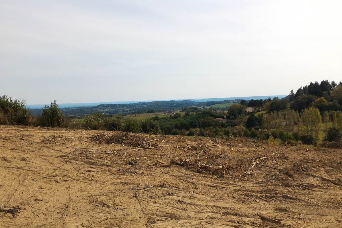 Terrain