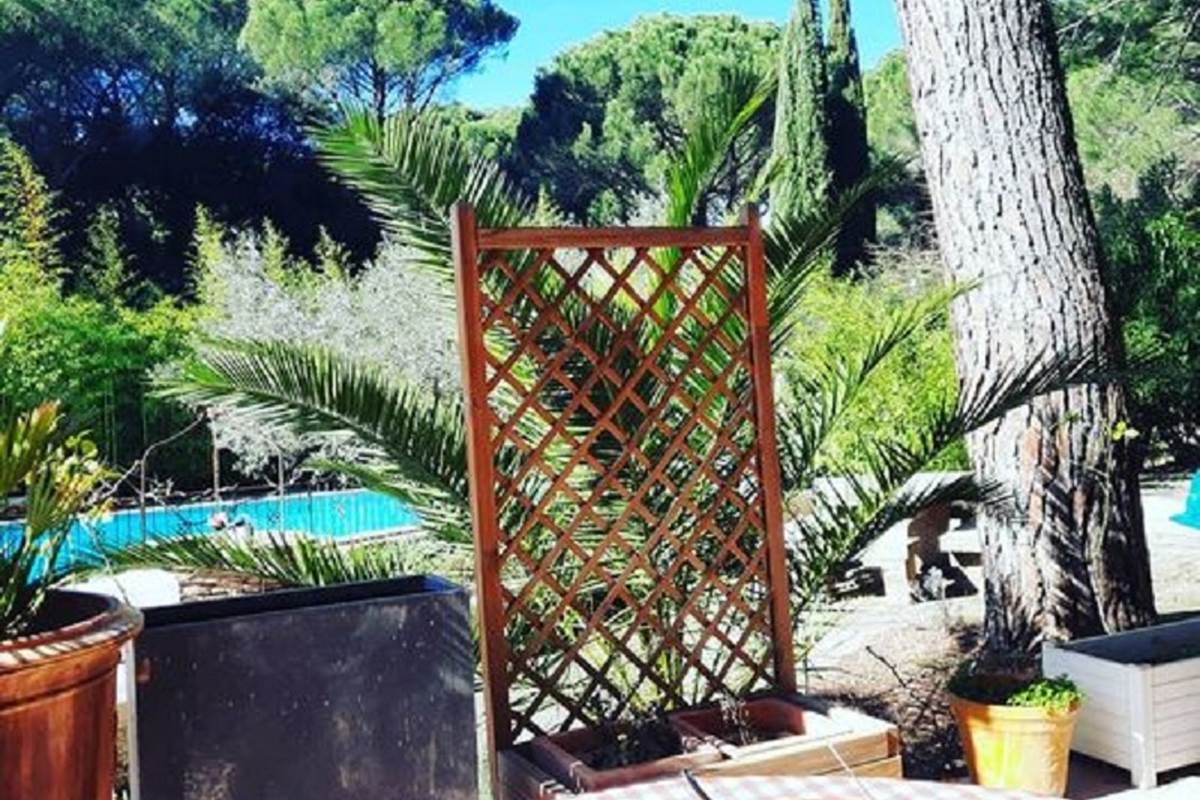 Pause café face à la piscine