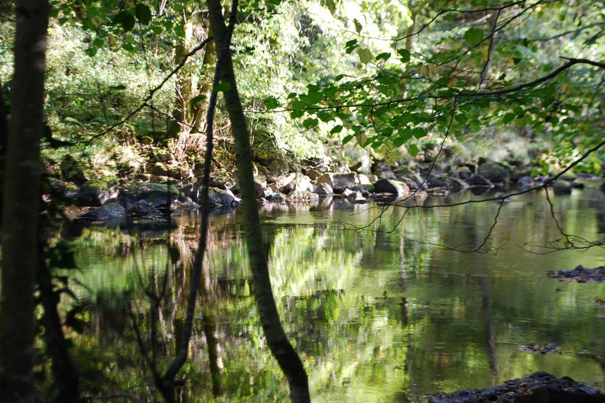 la Vienne à La Lérisse 20' à pied du Ranch des Lacs Hébergement Parc Naturel régional de Millevaches