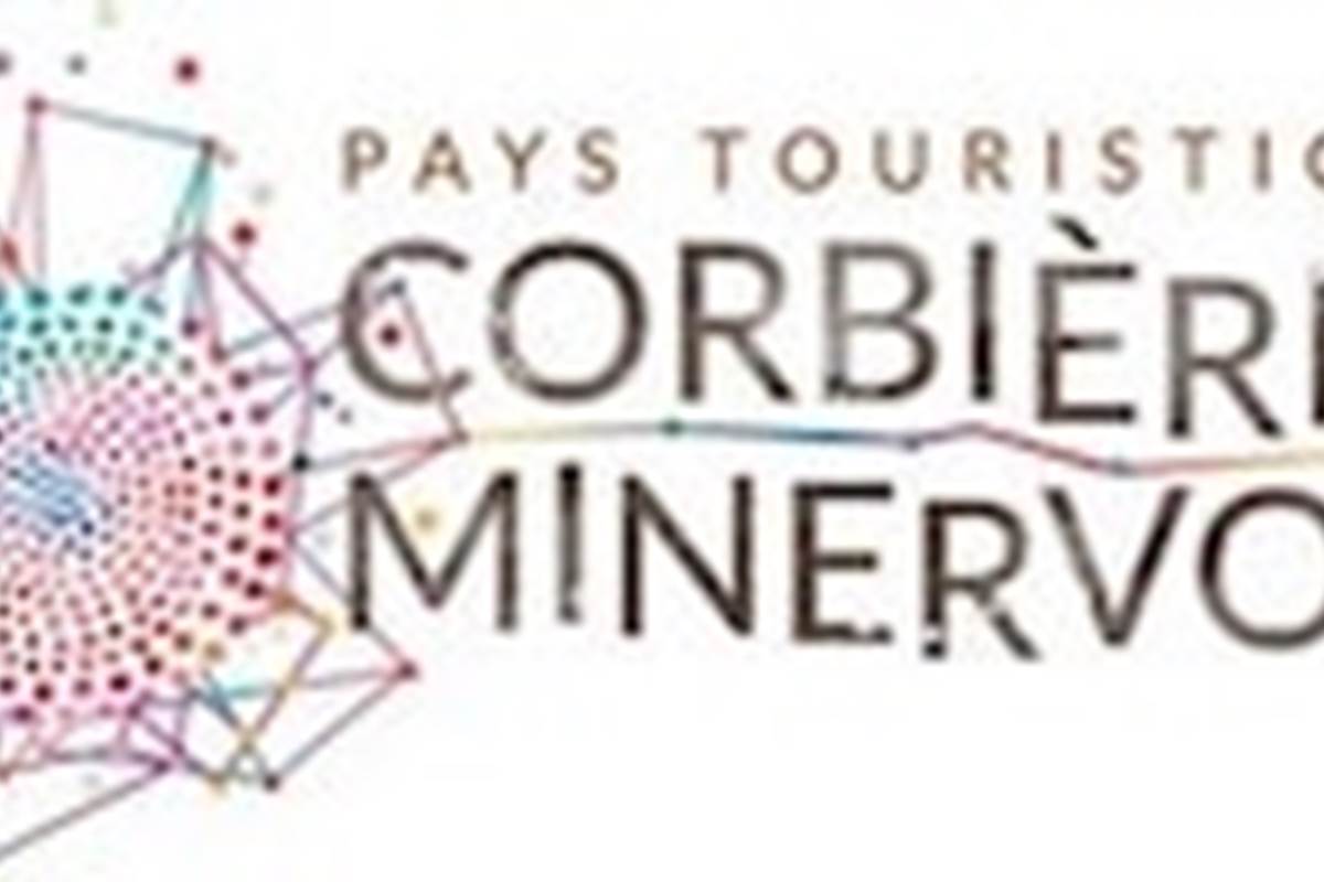 LOGO PTCM-min - largeur 8,01