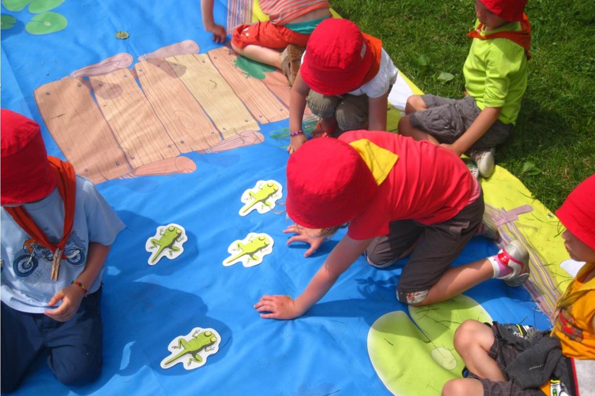 Vie grenouille Riveo maternelle